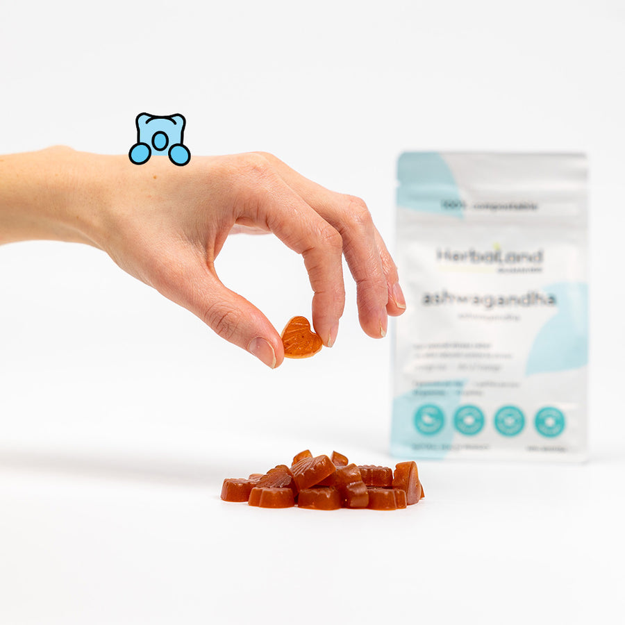 Person holding herbaland gummies, with ashwagandha pouch for natural stress relief with orange tea flavor for adults in the background