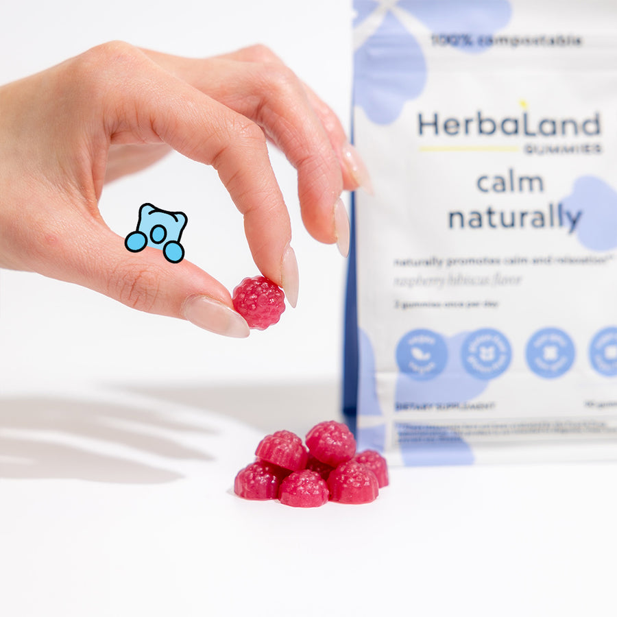 Person holding herbaland gummies, with calm naturally pouch to promote natural relaxation and calmness for adults with raspberry hibiscus flavor